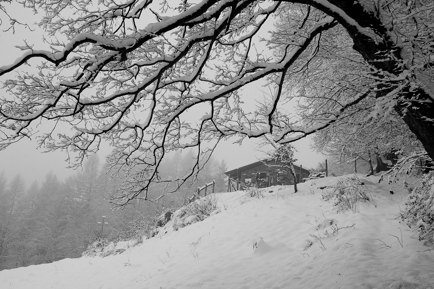LanificioCerruti_Winter